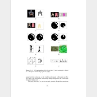 A Picture-based Document Retrieval Service for the Electronic Visualization Library